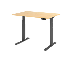 Elektrisch höhenverstellbarer Schreibtisch - Ergofino HBDT63C mit Tischplatte